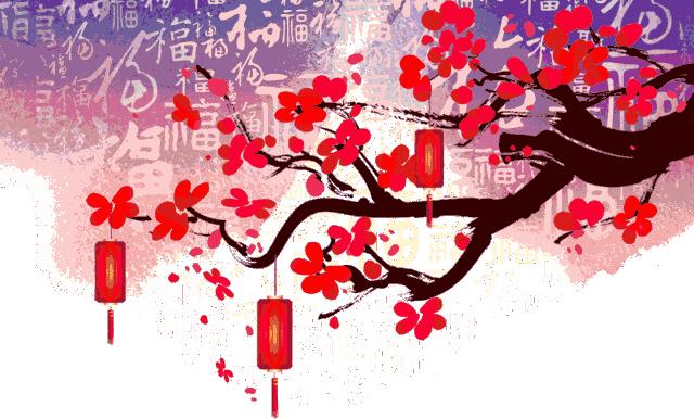 我的家庭相册书籍,我的家庭相册黑白人像