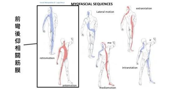 腰痛难起身怎么办,腰痛得坐立难安是怎么回事