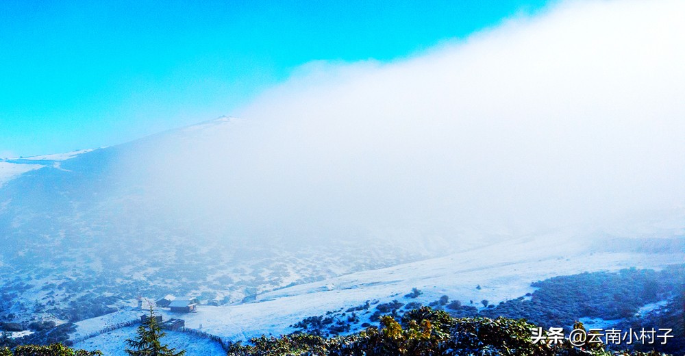 玛娜茶金观景点,玛娜茶金观景台旅游攻略