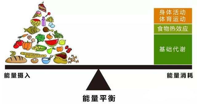 减肥后不喜欢吃油腻的怎么办,减肥后吃不下东西怎么办