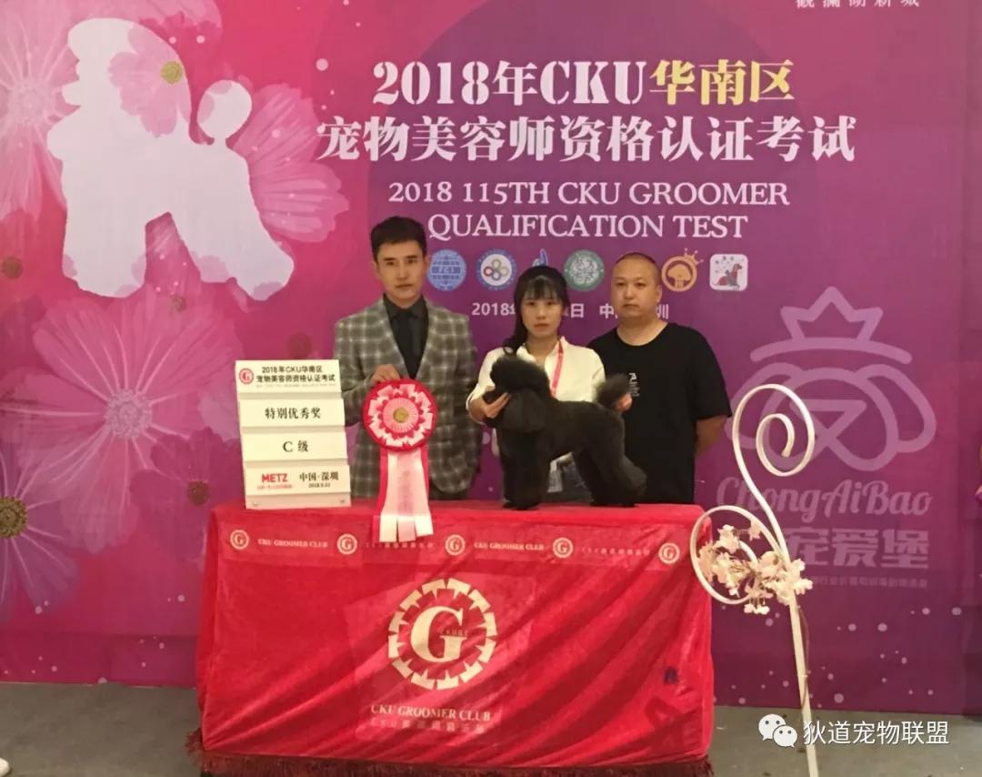 深圳口碑最好的成人教育培训机构,深圳十大成人教育培训机构排名榜