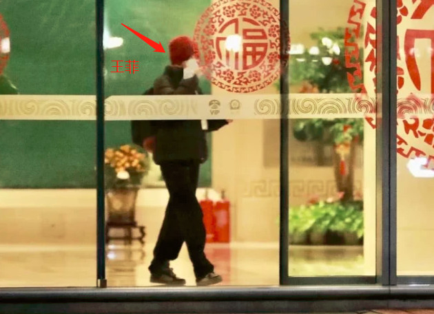 谢霆锋重回妻儿身边王菲自食其果,谢霆锋返回爱巢与王菲团聚