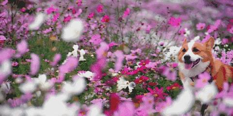 石景山打折商场,石景山新开的商场