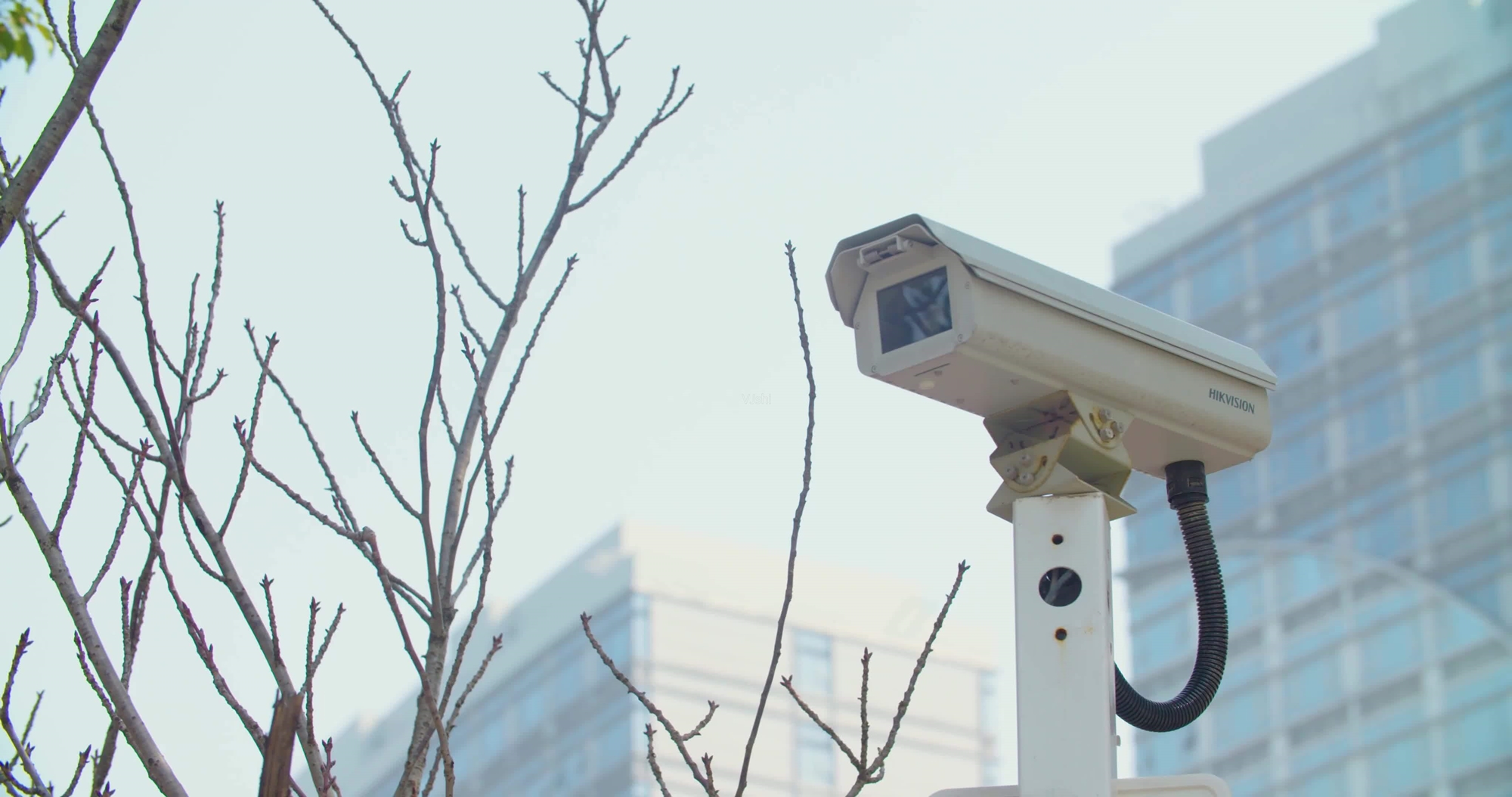 日本相机发展史,日本相机产业崩溃