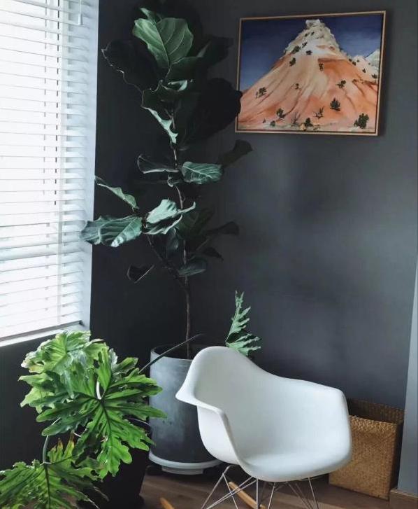 极简风格绿植店铺推荐 (室内店铺适合养的植物有香味)