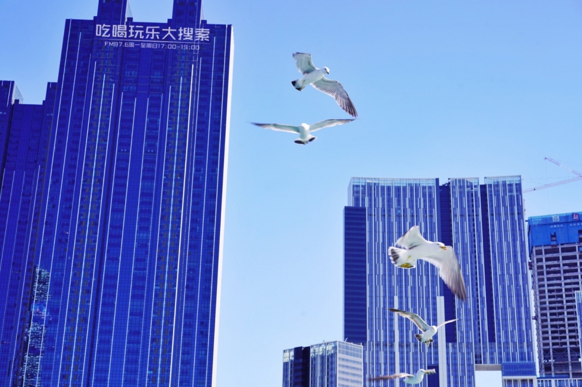 遇上浓浓的大连海蛎子味,青岛海蛎子旅游攻略