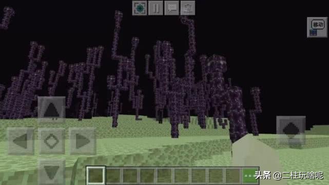 盘点一些我的世界植物排行榜,我的世界上有什么奇特的植物