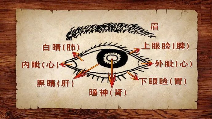 视力模糊眼底出血什么原因,视力下降中医病名