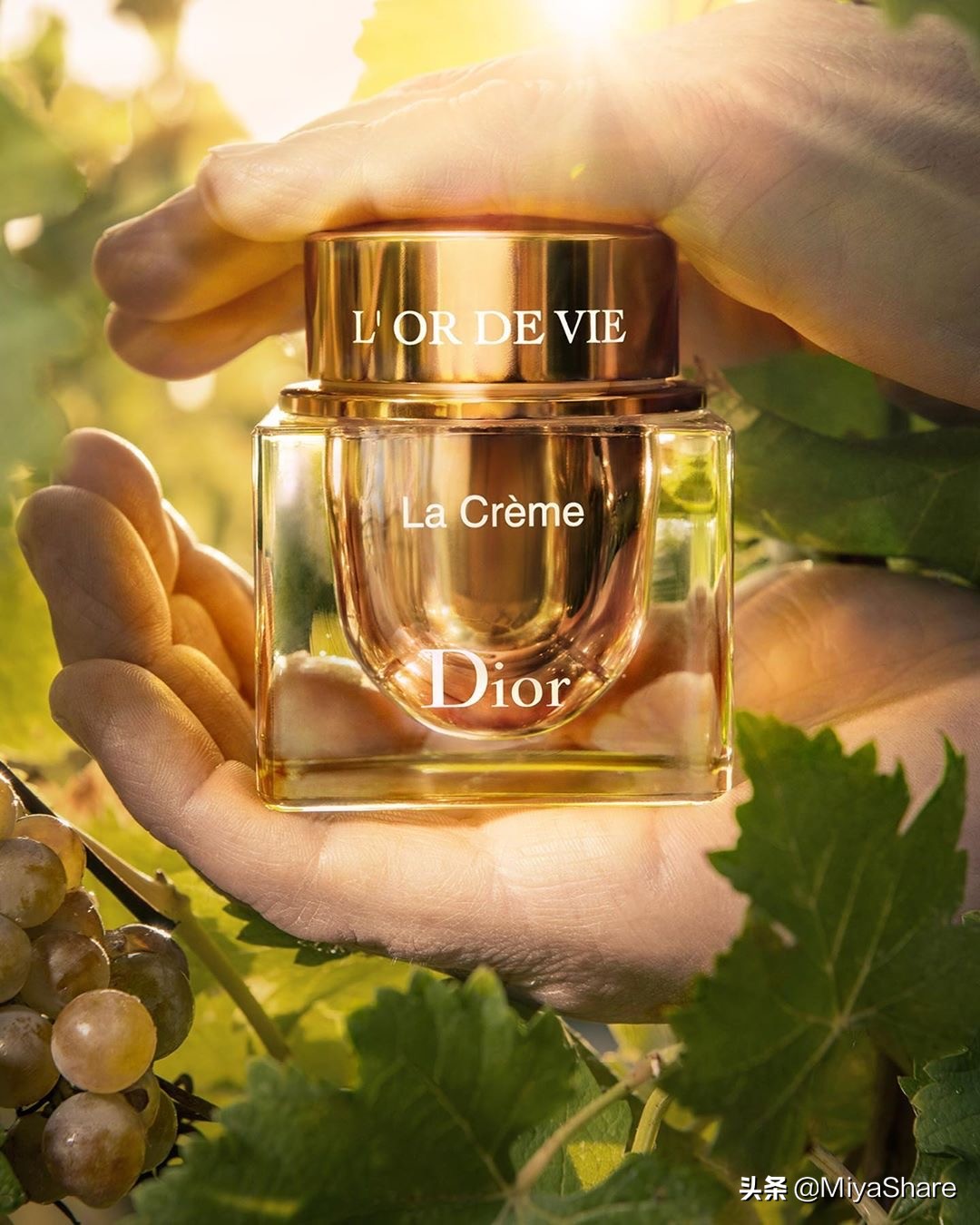 dior两款旷野香,diorprestige面霜测评