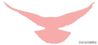 小司说法法律知识,小司说法最新消息