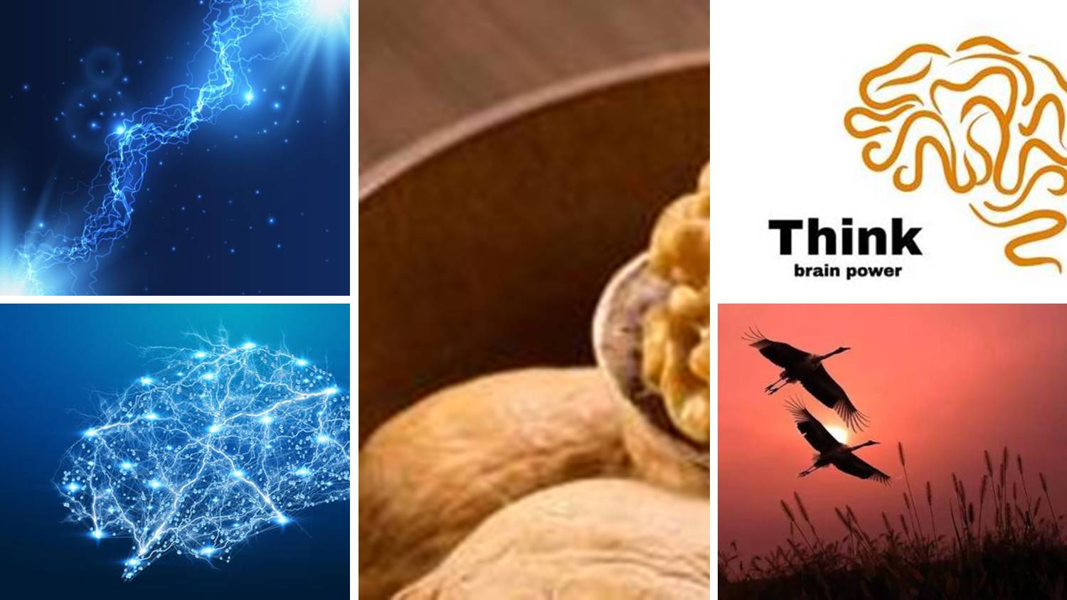 天才的大脑到底有多可怕,天才的大脑和普通人有什么区别