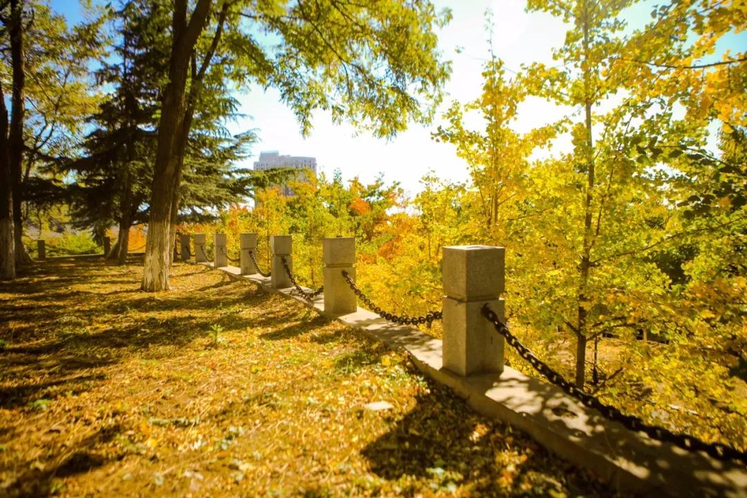 辽宁省民办大学（二）大连东软信息学院