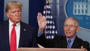 福奇：从篮球小队长到抗疫大队长的一步一个脚印