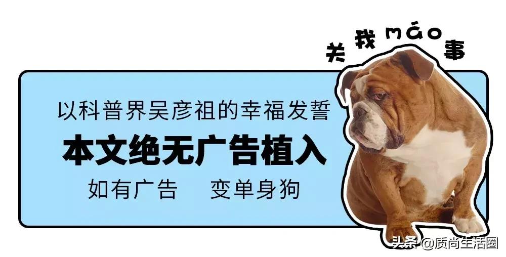 保暖内衣迪卡侬和优衣库怎么选,优衣库保暖内衣评测