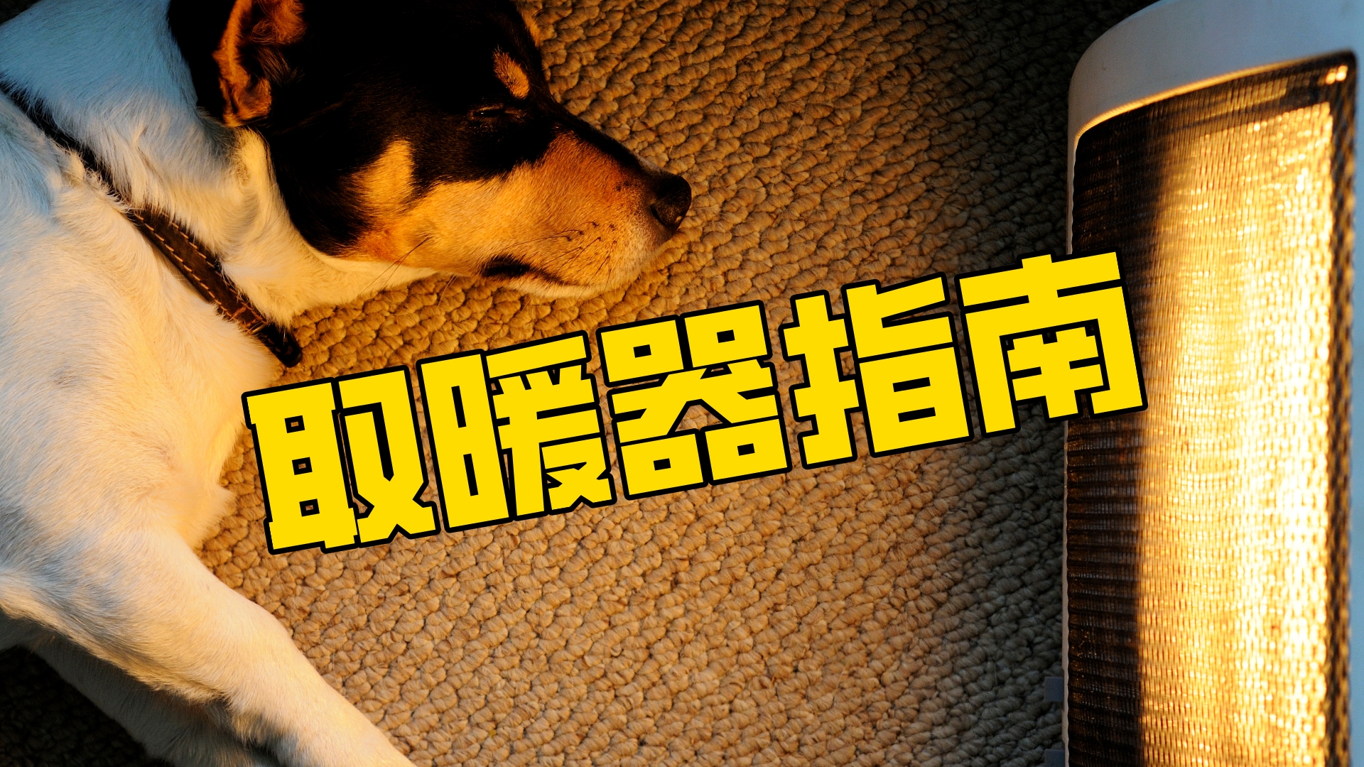 这个冬天怎么过才舒服,这个冬天怎么过得去