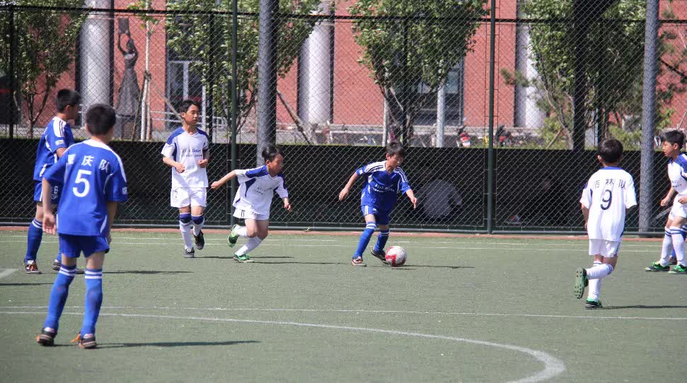 足球为什么比篮球更有魅力,为什么篮球和足球影响力大