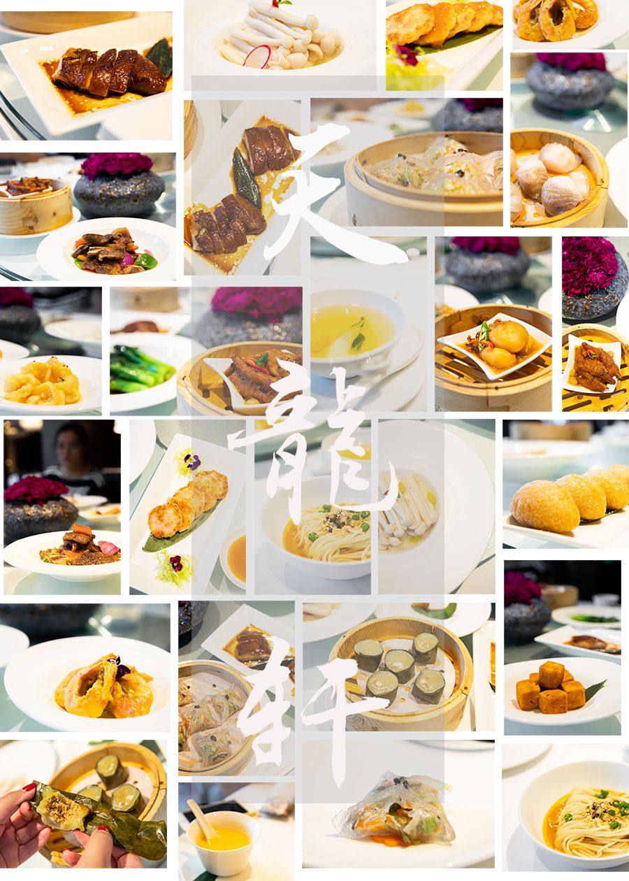 海口飞特,飞特推荐