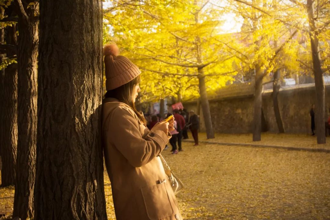 美过三亚!比厦门浪漫!中国这座海滨老城,去一次相当于环游世界