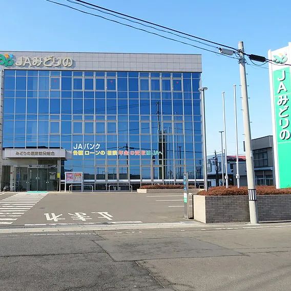 日本有过革命史吗,日本有过什么革命