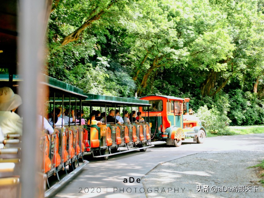 广州长隆野生动物园夜场,长隆嘉年华夜场17号有什么节目
