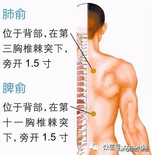 过敏性鼻炎艾灸哪里效果最好图解,中医艾灸帮您治疗过敏性鼻炎