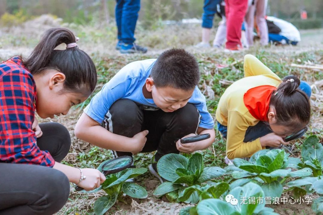 翻地、播种…无锡老小将课堂搬到了田间地头