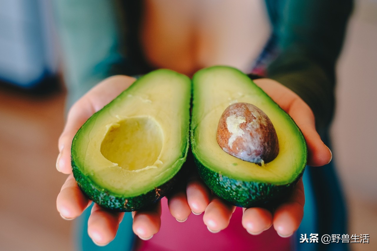 牛油果是真有营养还是虚假宣传,被捧上天却毫无作用的食物