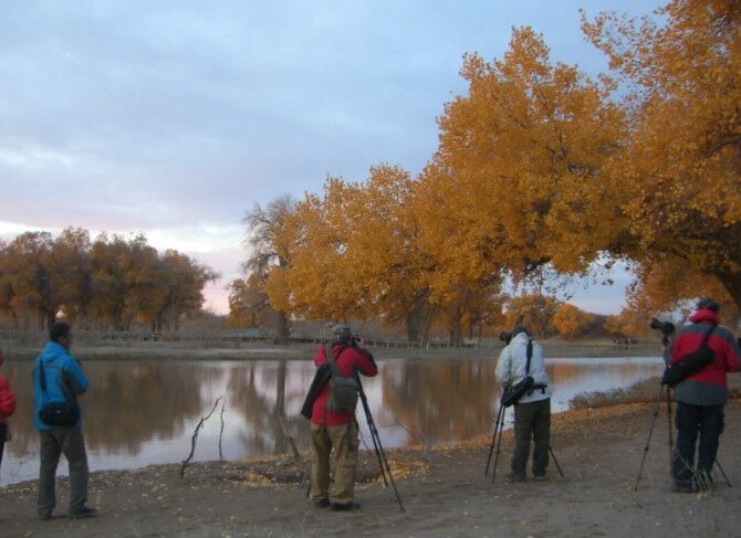 成都到额济纳旗五日游,南京到额济纳旗旅游攻略