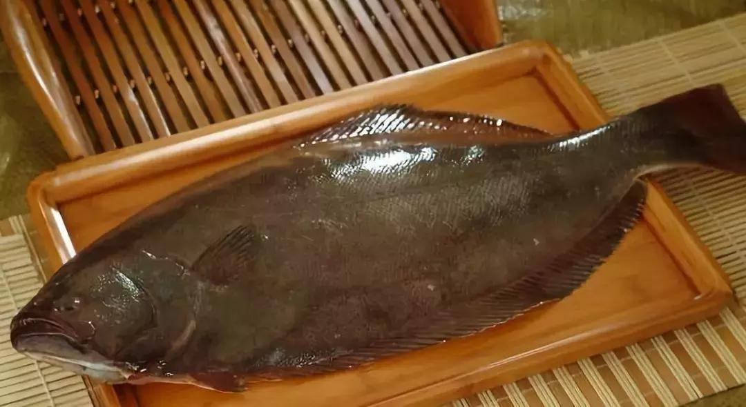 防城港怎么吃海鲜便宜不被坑,防城港干货海鲜有哪些