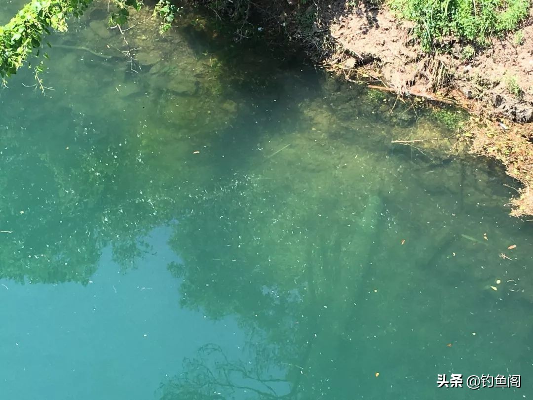 气压多少百帕才缺氧鱼会浮水,缺氧鱼上浮不开口怎么钓