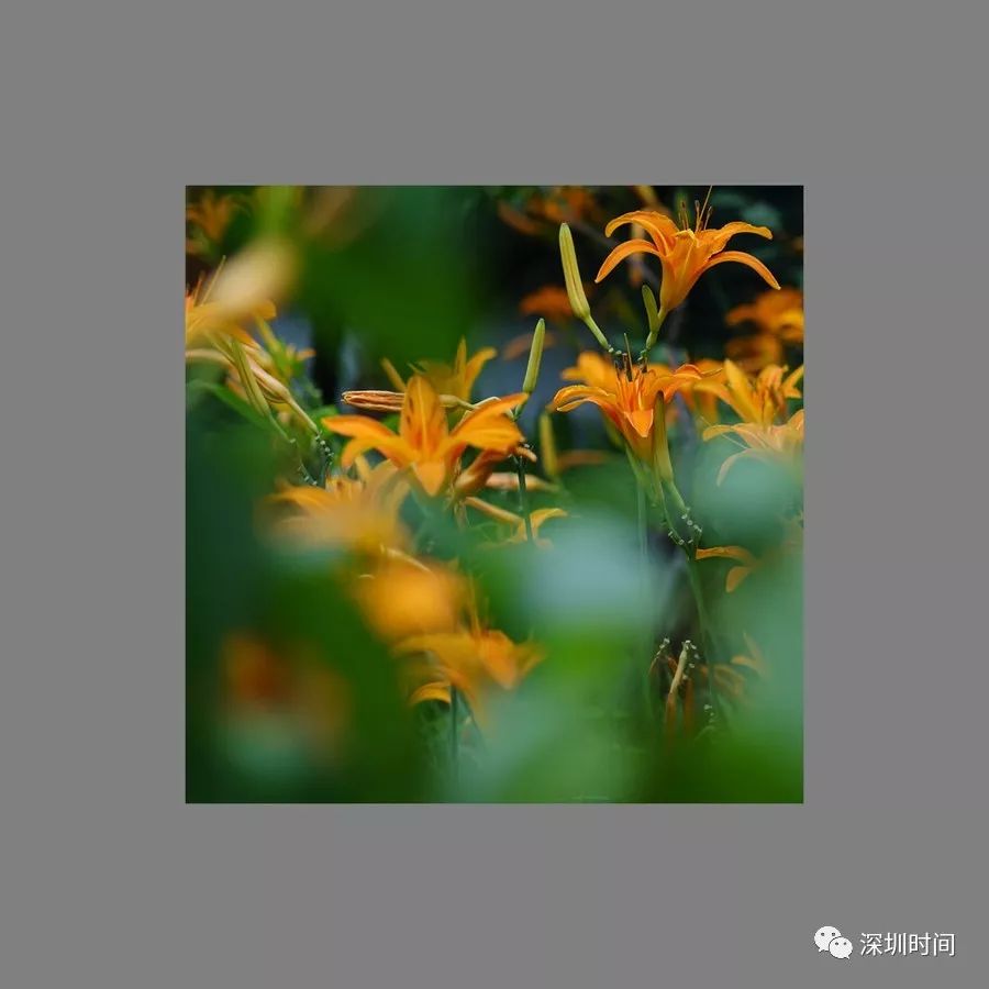 彭孙遹诗文,彭孙遹作品大全