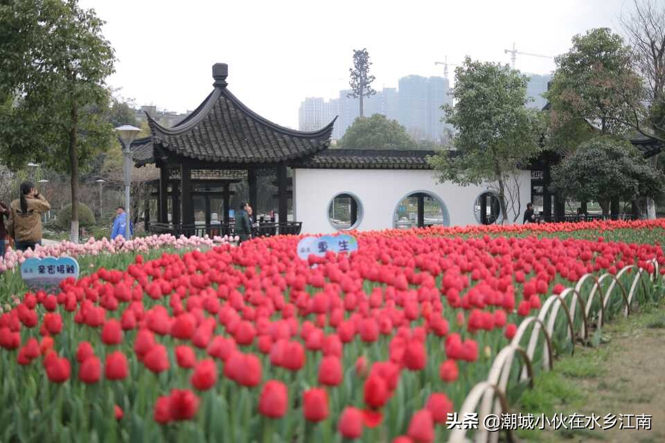 海宁梅园风景图片,海宁梅园