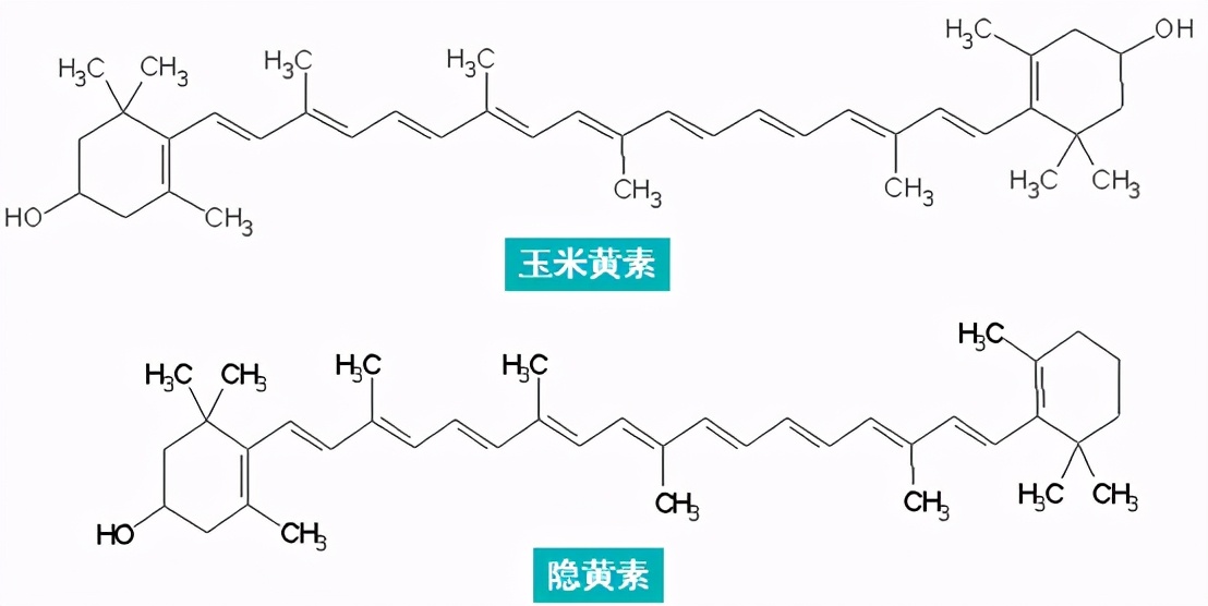 彩色漂白剂的使用方法和时间,着色剂护色剂漂白剂的区别