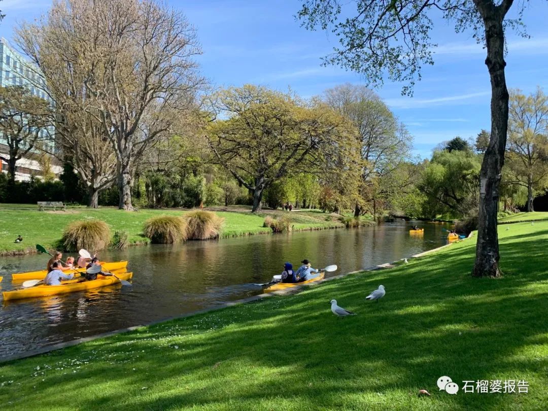 旅行7天,新西兰霍比特人村游记