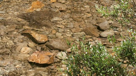 地铁直达！福州又将添一座新公园，花溪湿塘、水乡古桥...