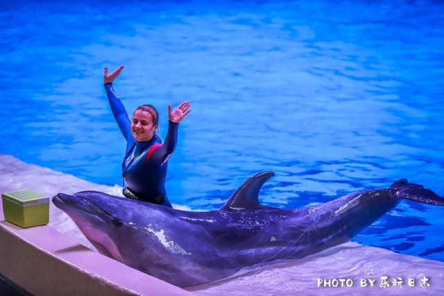 珠海亲子游必玩景点,珠海一日游适合带孩子玩的景点