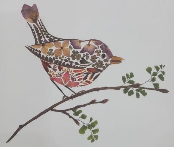 自然博物之旅,自然博物之旅感悟收获