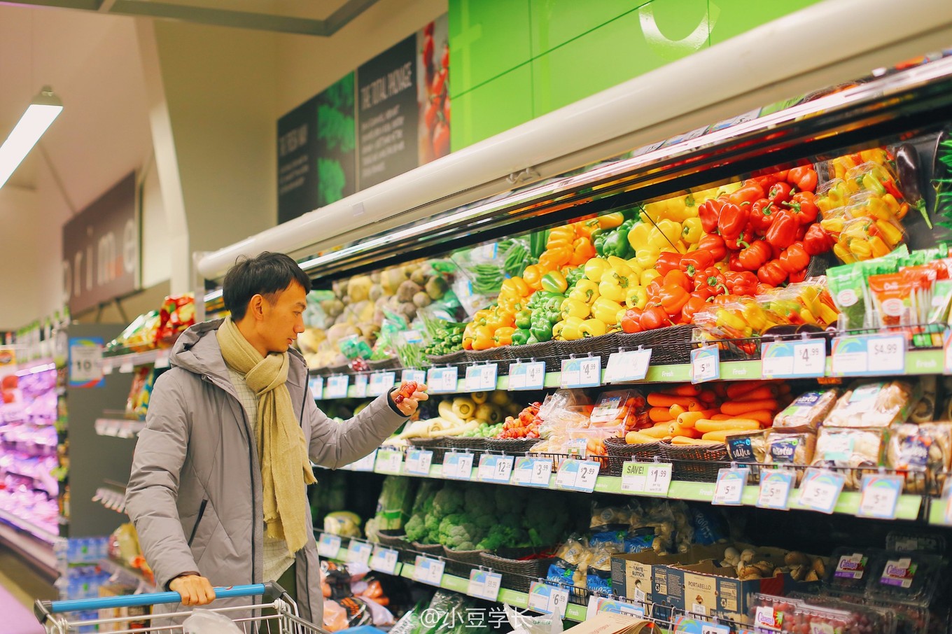 新西兰皇后镇的旅行,新西兰皇后镇旅行攻略