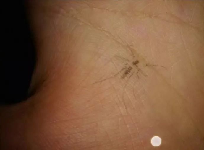 你们喝醉酒后，都干出什么事儿？哈哈哈哈哈哈哈哈哈