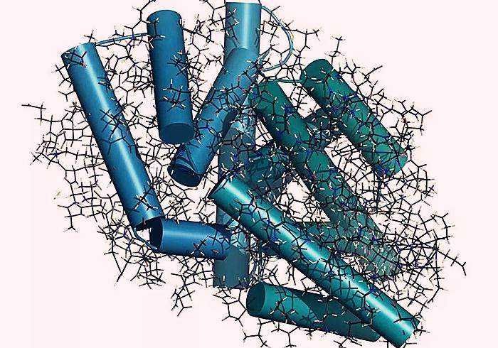 猫咪感冒咳嗽和猫鼻支区别,猫咪咳嗽也是因为猫鼻支吗