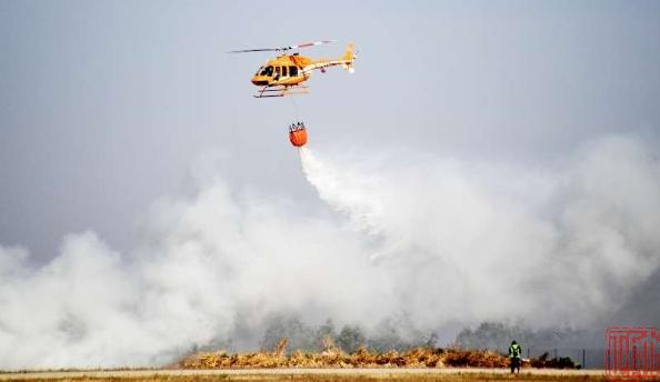 沈阳市新闻12月5日,沈阳新闻15日微博