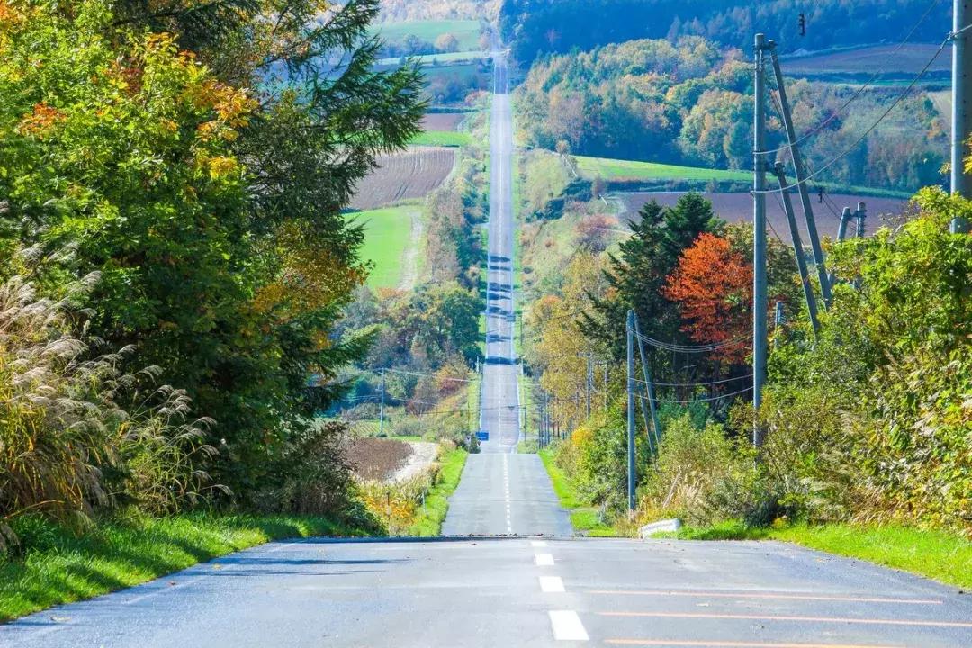 日本旅游吃饭攻略,日本游美食必购清单