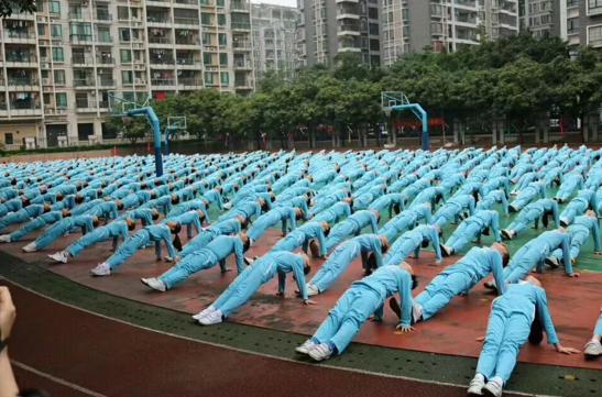 白云十大好学校,白云区成绩好的学校