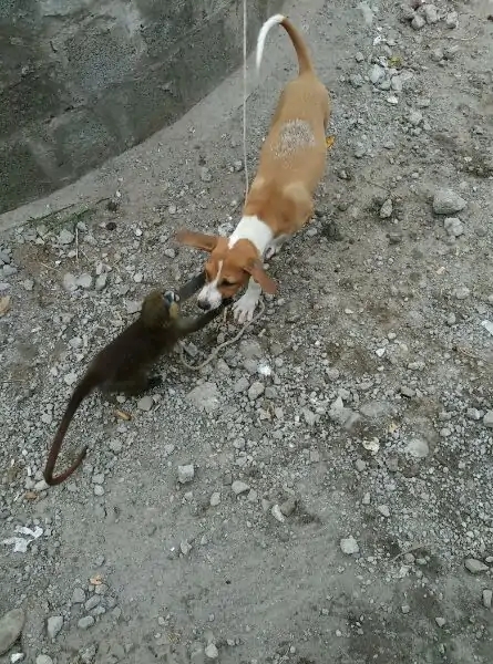 带你去赤道看海,赤道几内亚国家地图