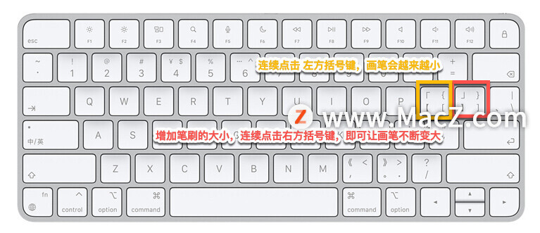 ps中怎么创建选区,ps教程百张相片