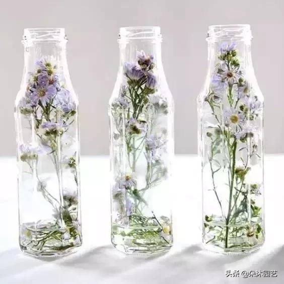 干花如何定格在墙上,干花制作5朵花教程