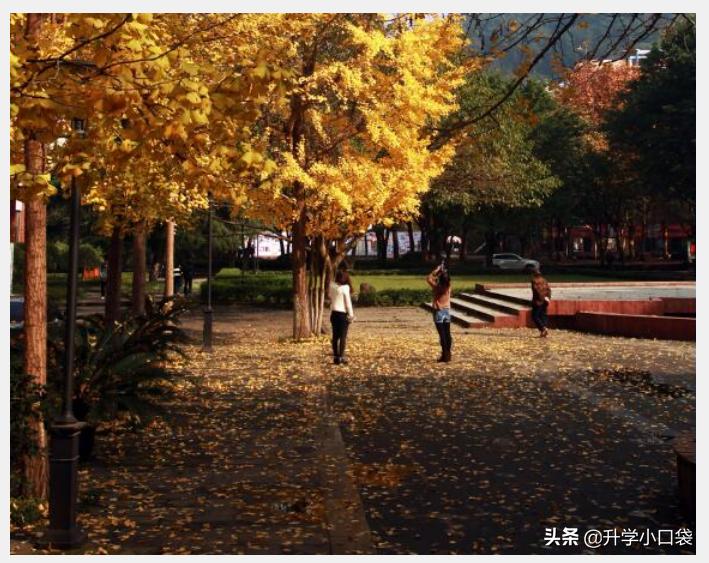 重庆邮电大学2022届保研数据已出炉，保研率3.79%，197人被保研