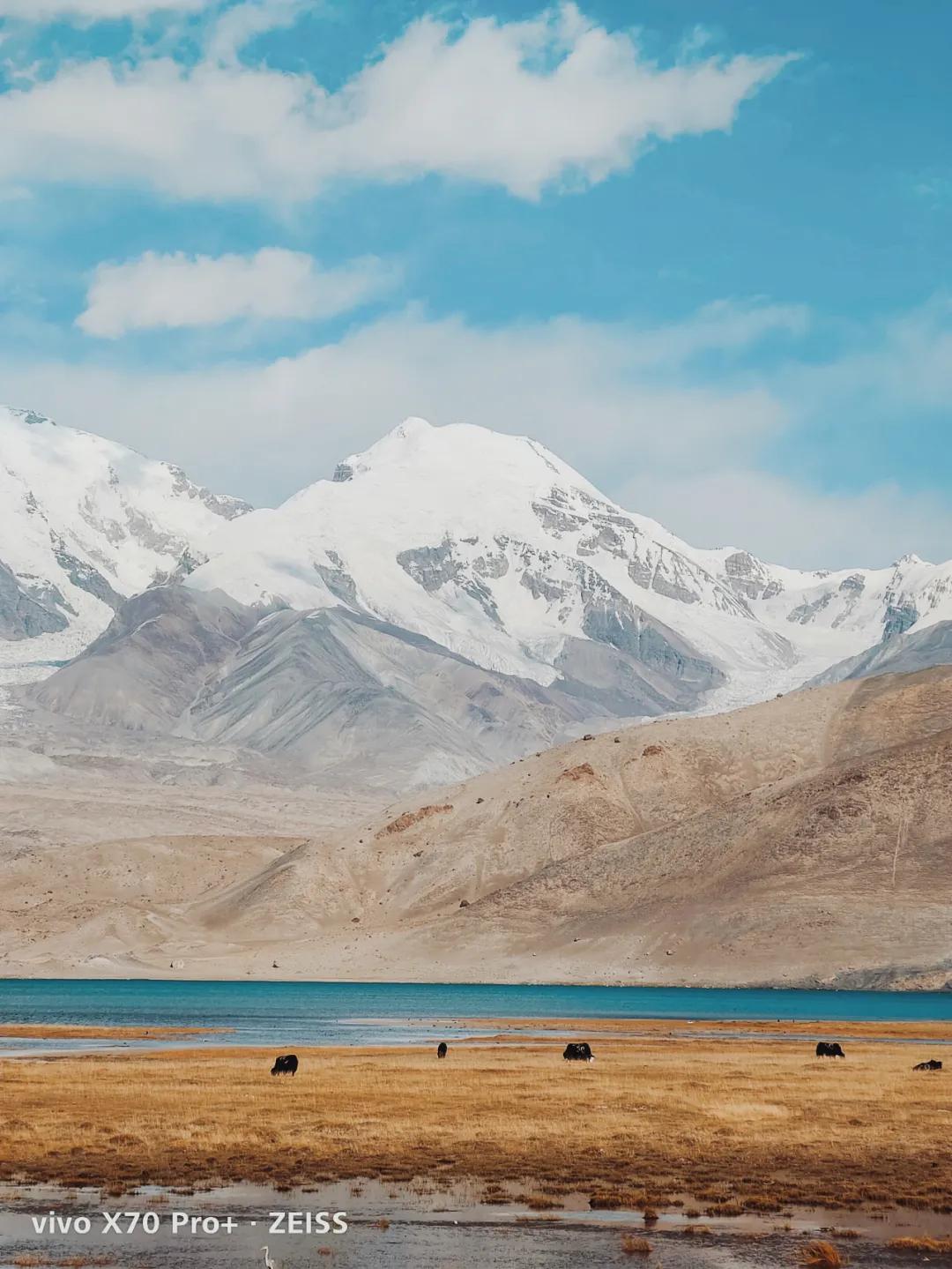 vivo自带相机软件,vivo手机摄影自学入门教程