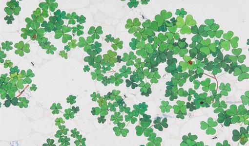 时光清浅回味夏天全文,时光清浅的唯美诗句