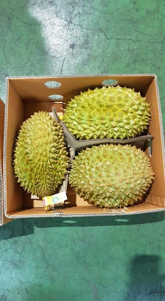 榴莲品种d13,泰国榴莲d197是什么品种